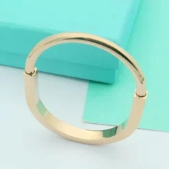 INS Style Round Titanium Steel Plating Bangle -Deals Glis Jewel Store 1646826722684964864