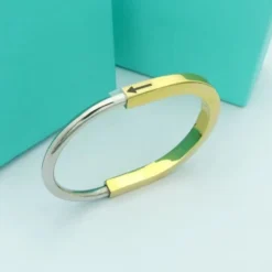 INS Style Round Titanium Steel Plating Bangle -Deals Glis Jewel Store 1646826725335764992