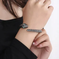 Hip-Hop Snake Titanium Steel Plating Bangle 17 Hip-Hop Snake Titanium Steel Plating Bangle -Deals Glis Jewel Store 1660925843519705088