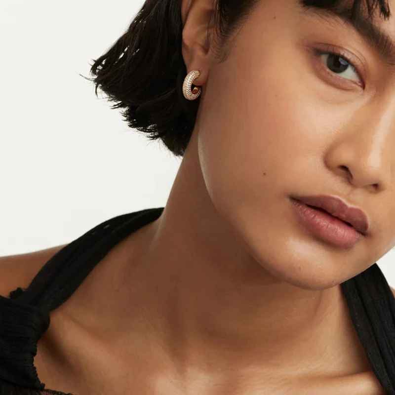 1 Pair Elegant Lady C Shape Plating Inlay Sterling Silver Zircon Ear Studs 5 1 Pair Elegant Lady C Shape Plating Inlay Sterling Silver Zircon Ear Studs - Image 5