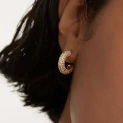 1 Pair Elegant Lady C Shape Plating Inlay Sterling Silver Zircon Ear Studs 9 1 Pair Elegant Lady C Shape Plating Inlay Sterling Silver Zircon Ear Studs -Deals Glis Jewel Store 1676796617249918976